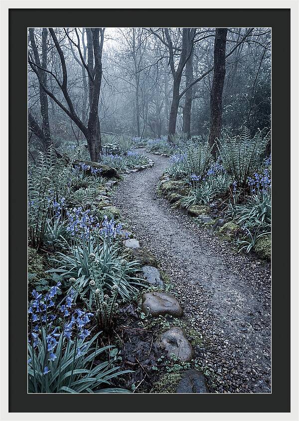 Woodland Garden Pathway