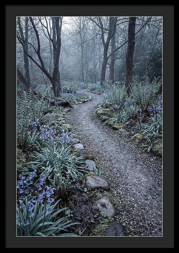 Woodland Garden Pathway
