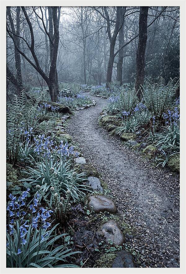 Woodland Garden Pathway