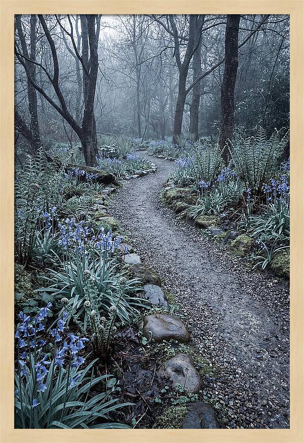 Woodland Garden Pathway