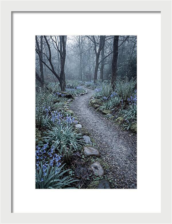 Woodland Garden Pathway