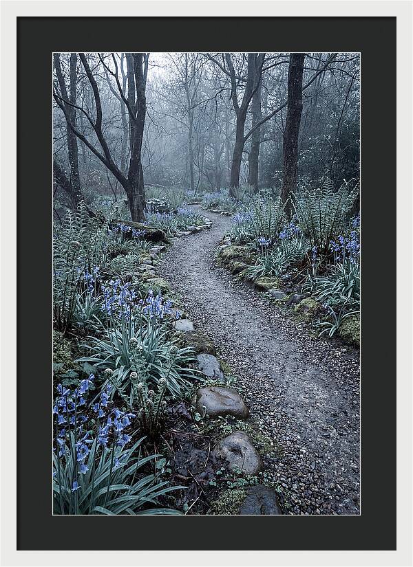 Woodland Garden Pathway