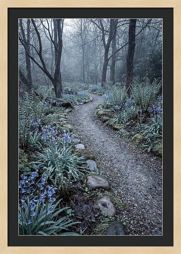 Woodland Garden Pathway