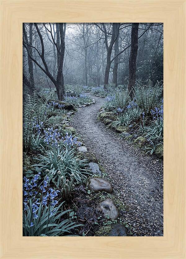 Woodland Garden Pathway