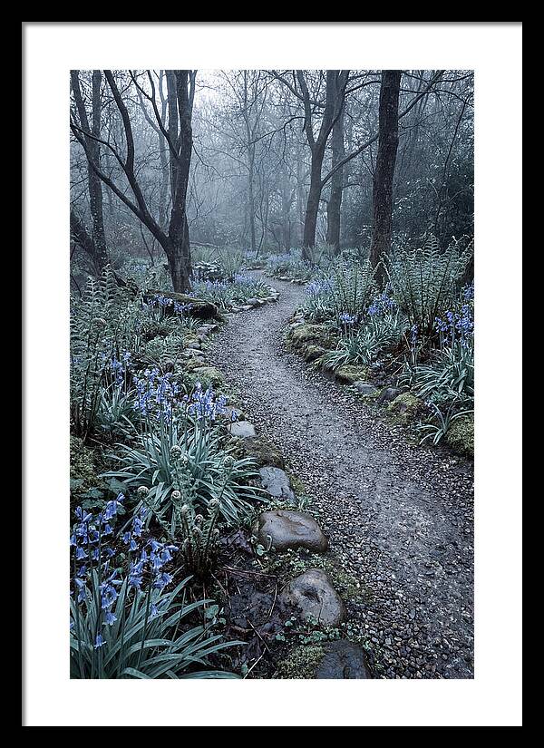 Woodland Garden Pathway