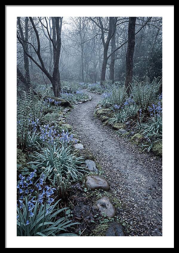 Woodland Garden Pathway
