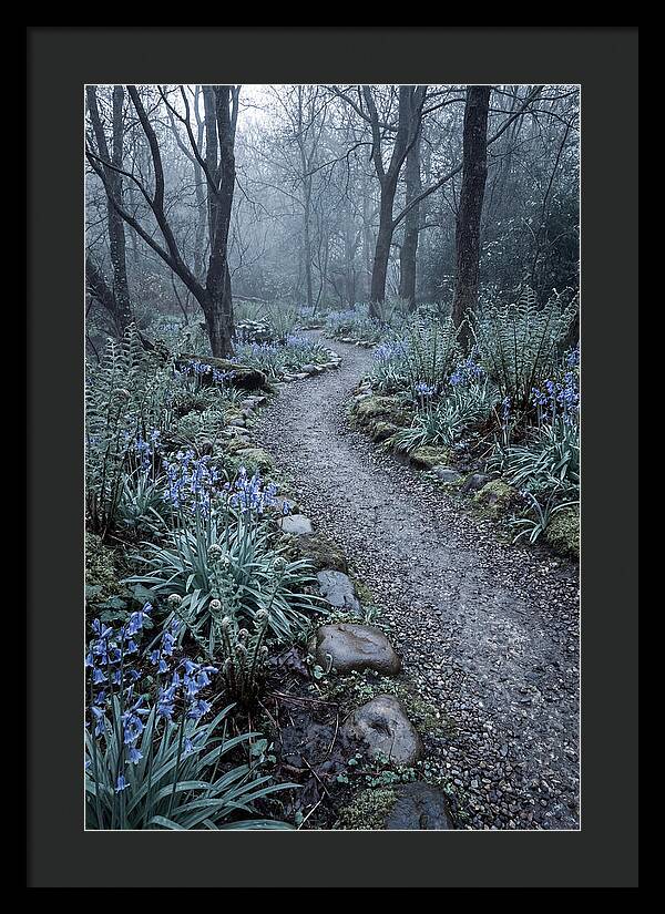 Woodland Garden Pathway