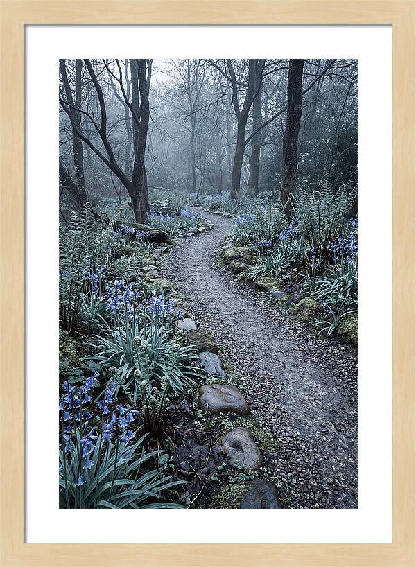 Woodland Garden Pathway