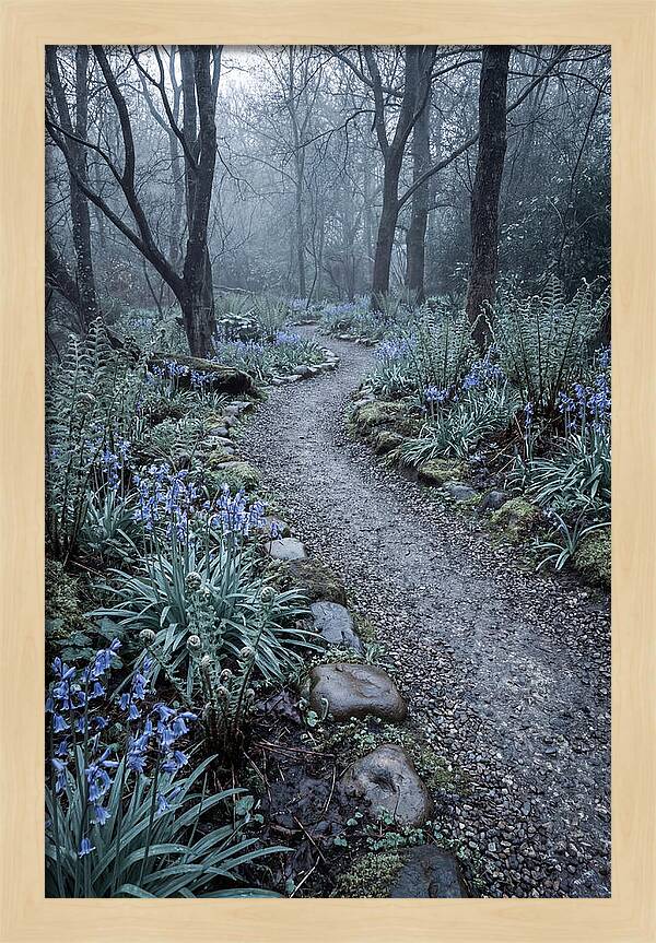 Woodland Garden Pathway