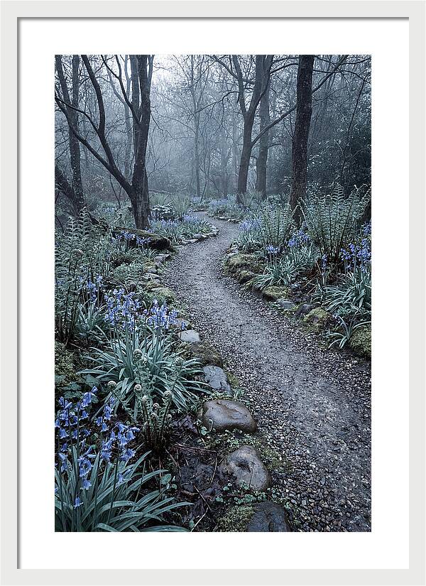 Woodland Garden Pathway