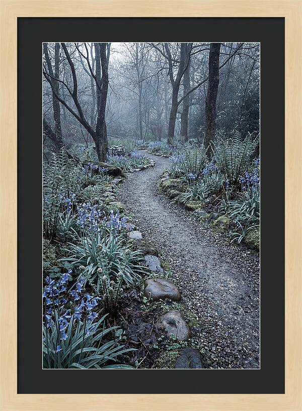 Woodland Garden Pathway