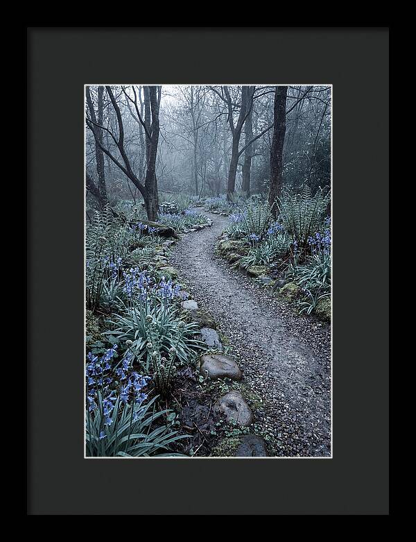 Woodland Garden Pathway