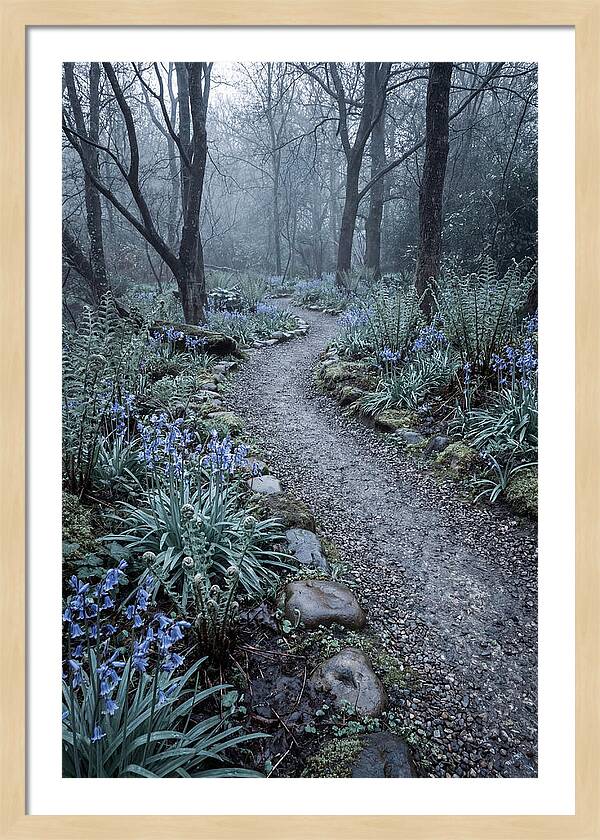 Woodland Garden Pathway