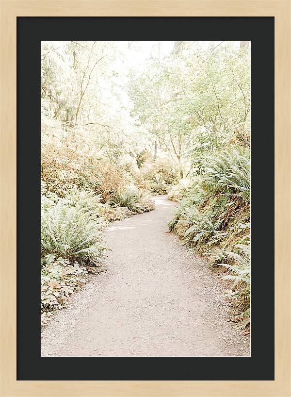 Woodland Garden Trail