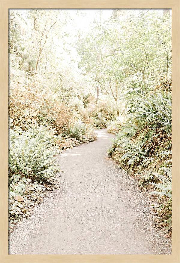 Woodland Garden Trail