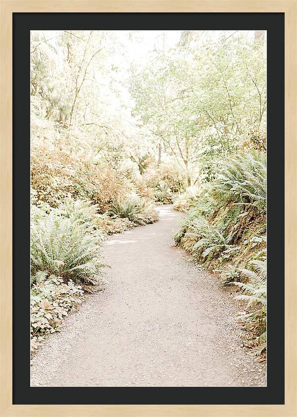 Woodland Garden Trail