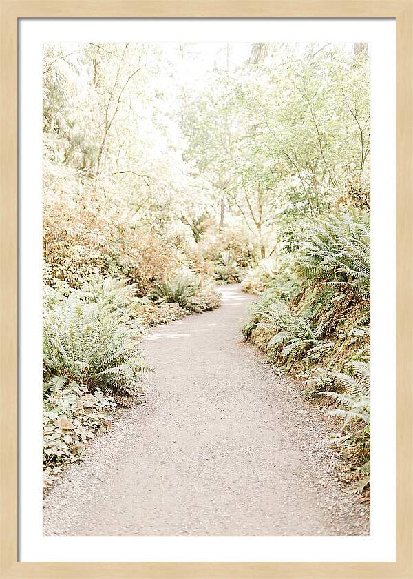 Woodland Garden Trail