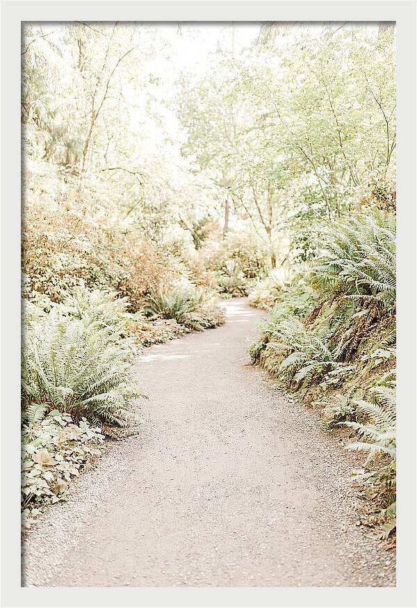 Woodland Garden Trail