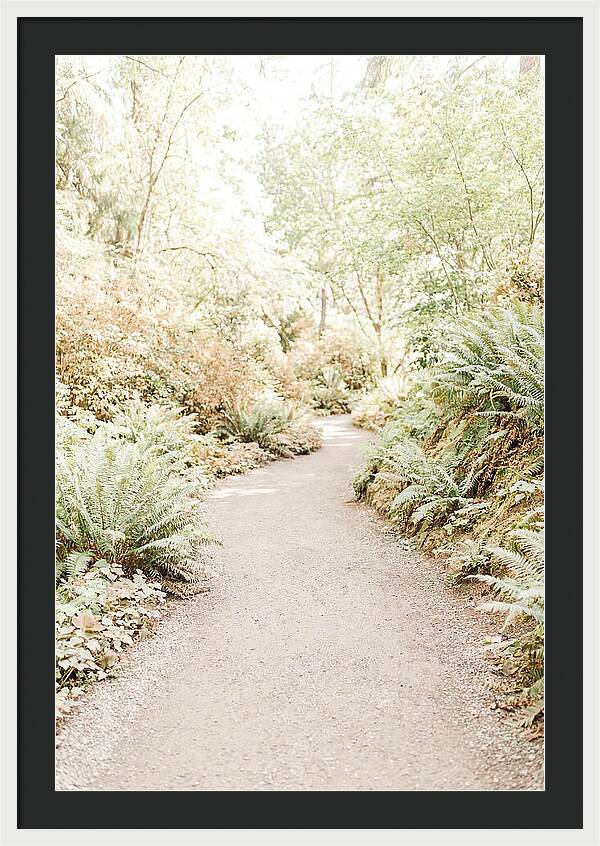 Woodland Garden Trail
