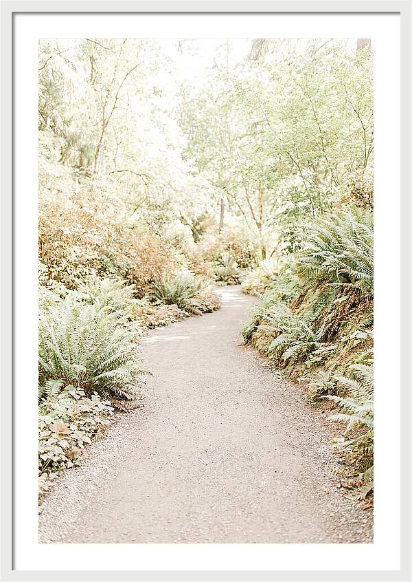 Woodland Garden Trail