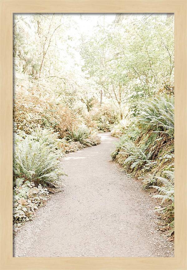 Woodland Garden Trail