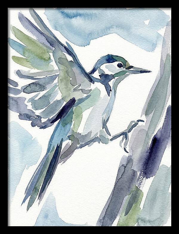 Woodpecker In Flight