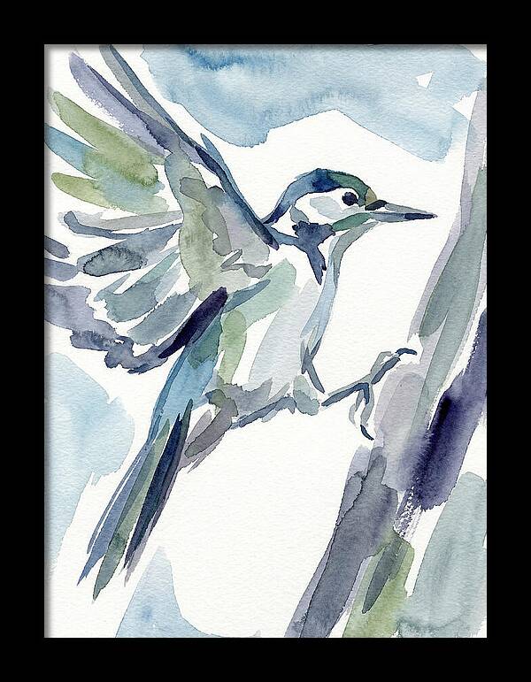 Woodpecker In Flight