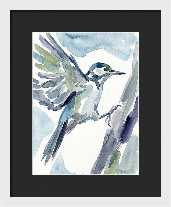 Woodpecker In Flight