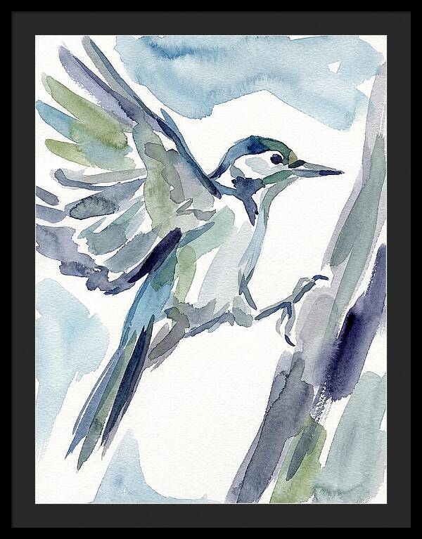 Woodpecker In Flight