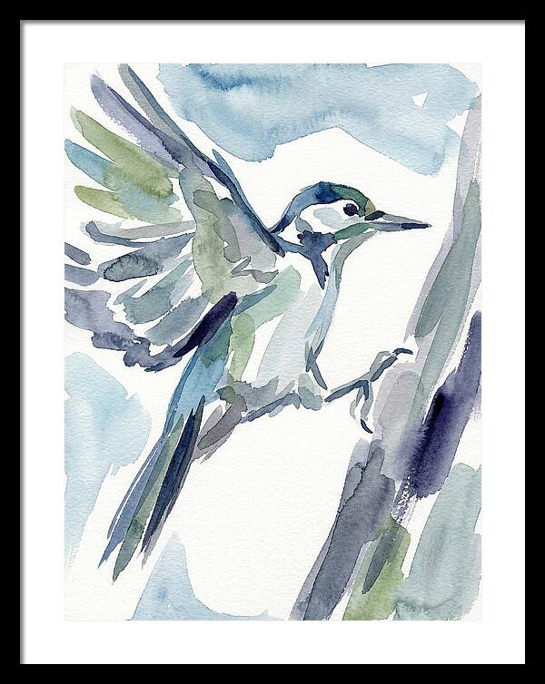 Woodpecker In Flight