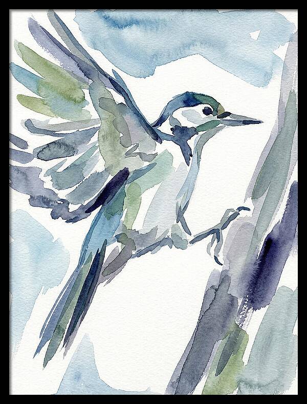 Woodpecker In Flight