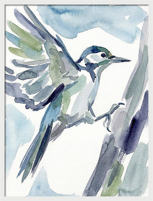 Woodpecker In Flight