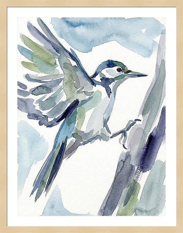 Woodpecker In Flight