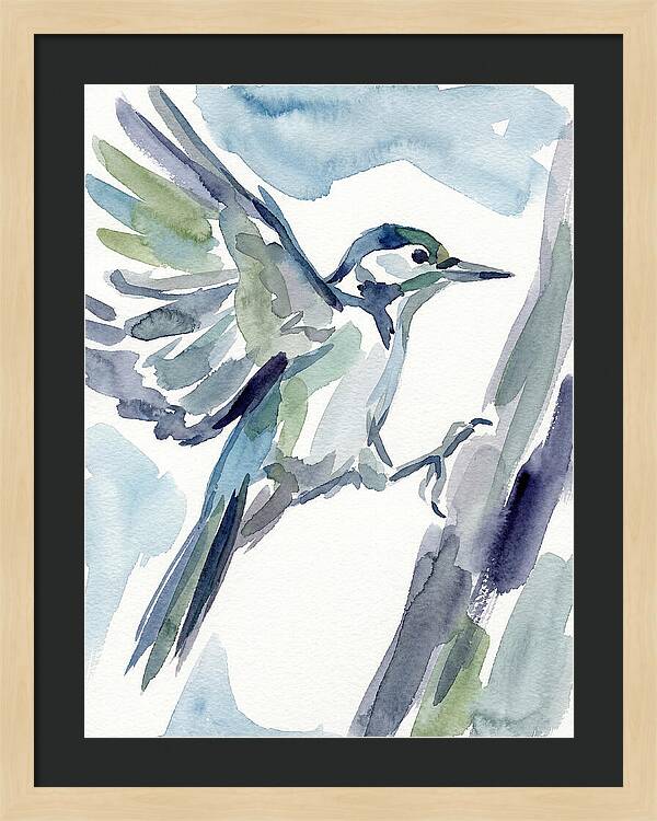 Woodpecker In Flight