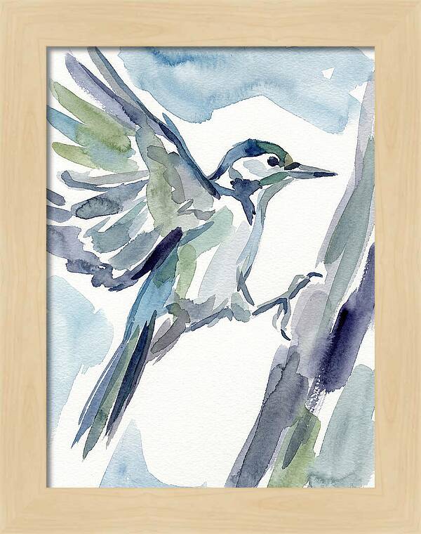 Woodpecker In Flight