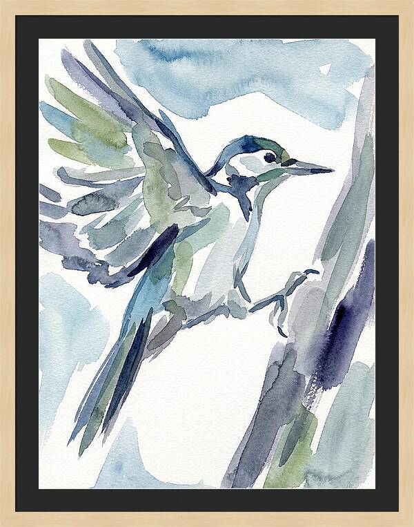 Woodpecker In Flight