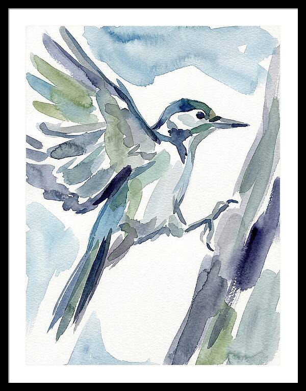 Woodpecker In Flight