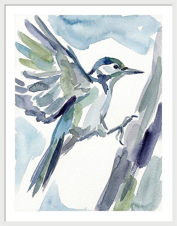 Woodpecker In Flight