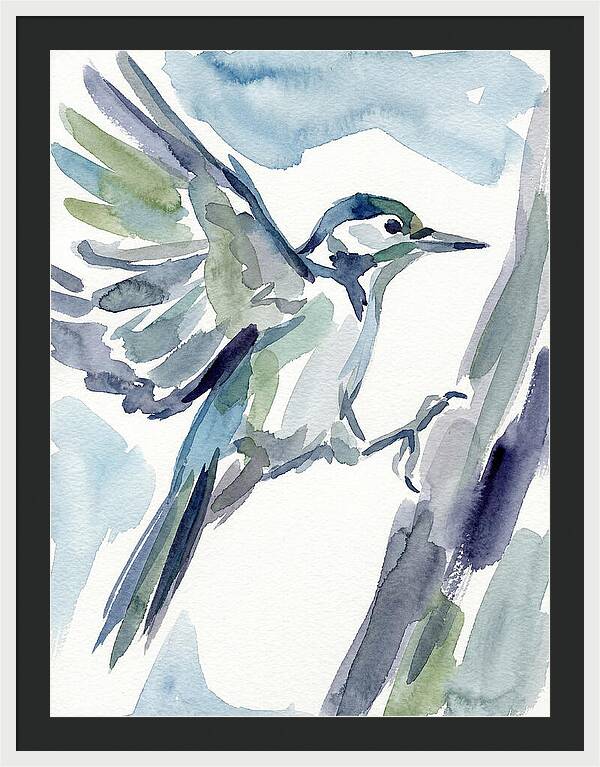 Woodpecker In Flight
