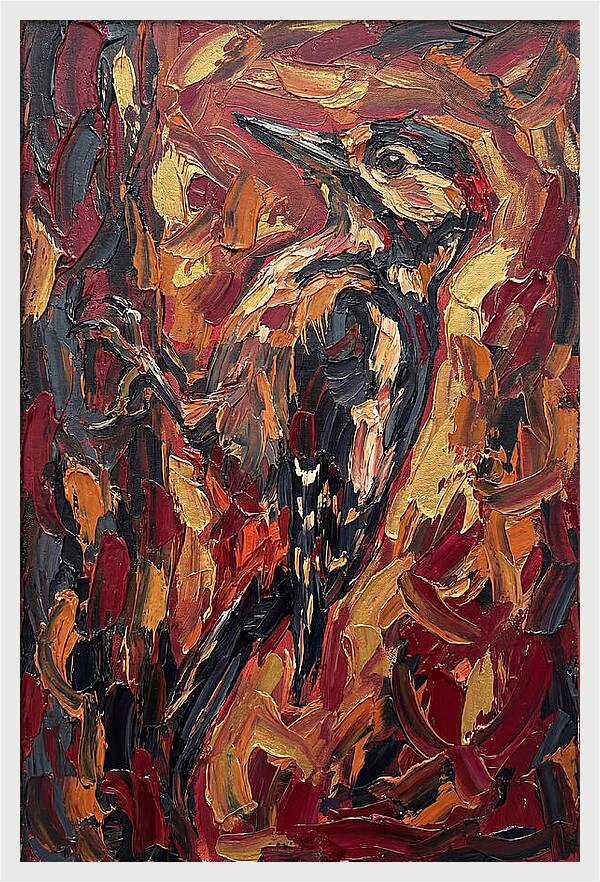 Woodpecker In Vibrant Hues