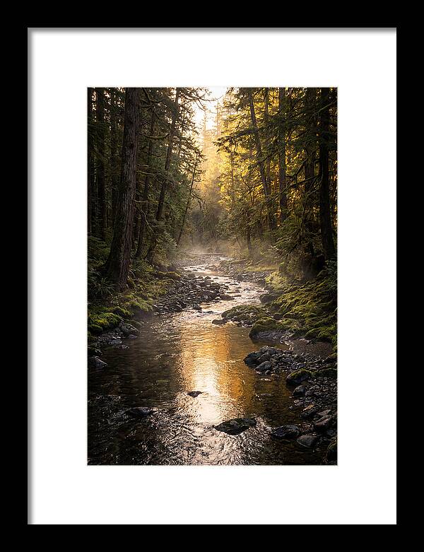 Worlds End Forest Creek