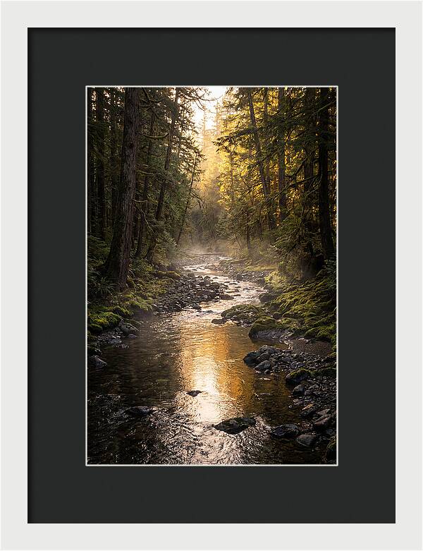 Worlds End Forest Creek