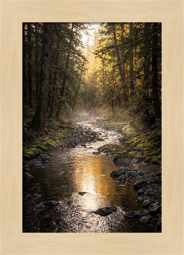 Worlds End Forest Creek