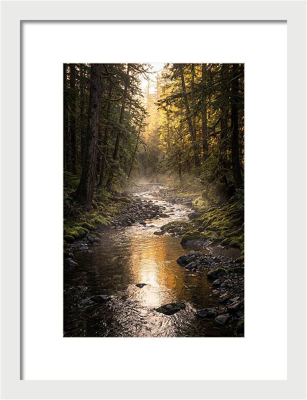 Worlds End Forest Creek