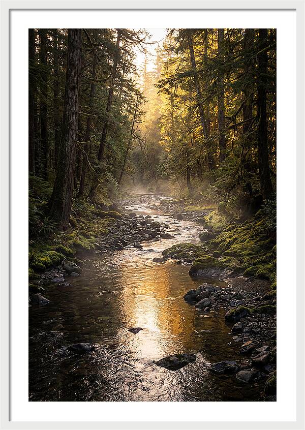 Worlds End Forest Creek