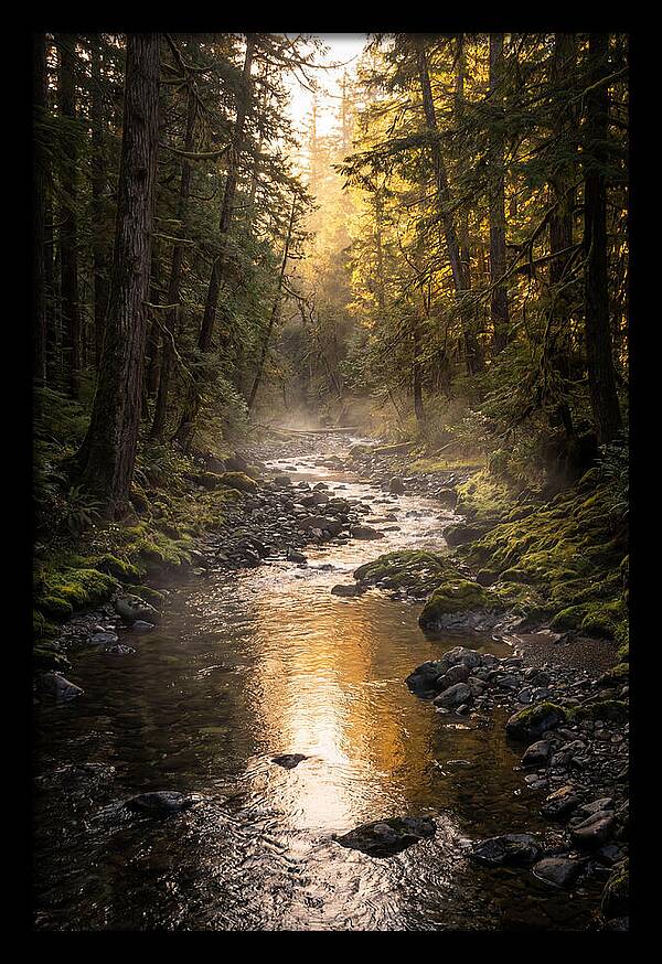 Worlds End Forest Creek