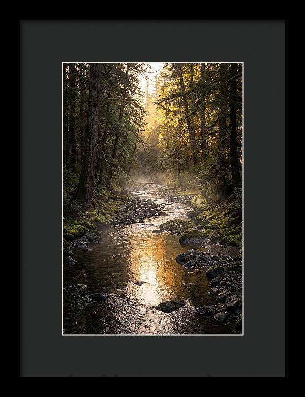 Worlds End Forest Creek