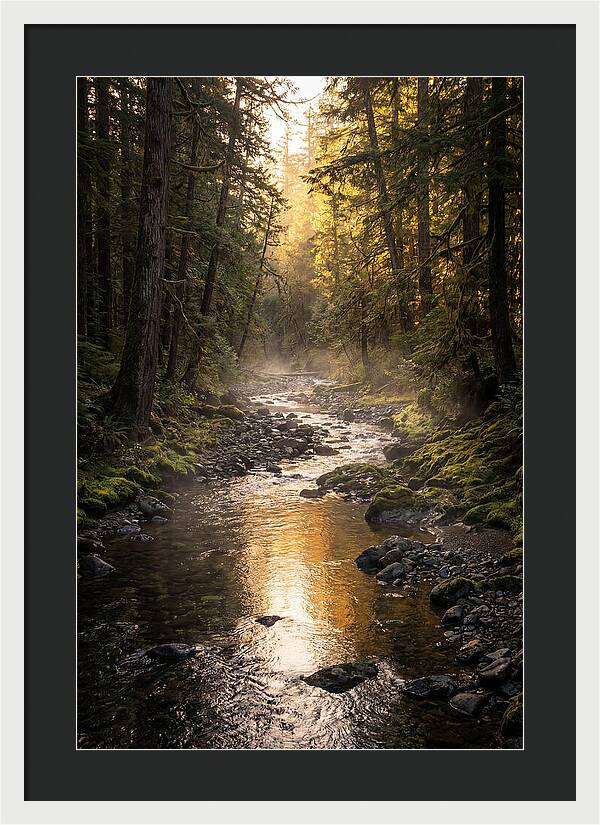 Worlds End Forest Creek