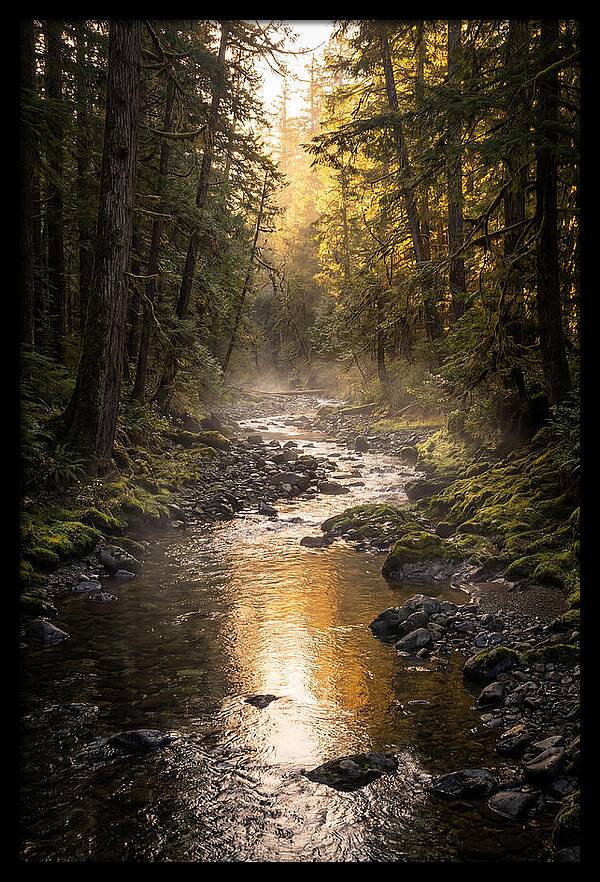 Worlds End Forest Creek