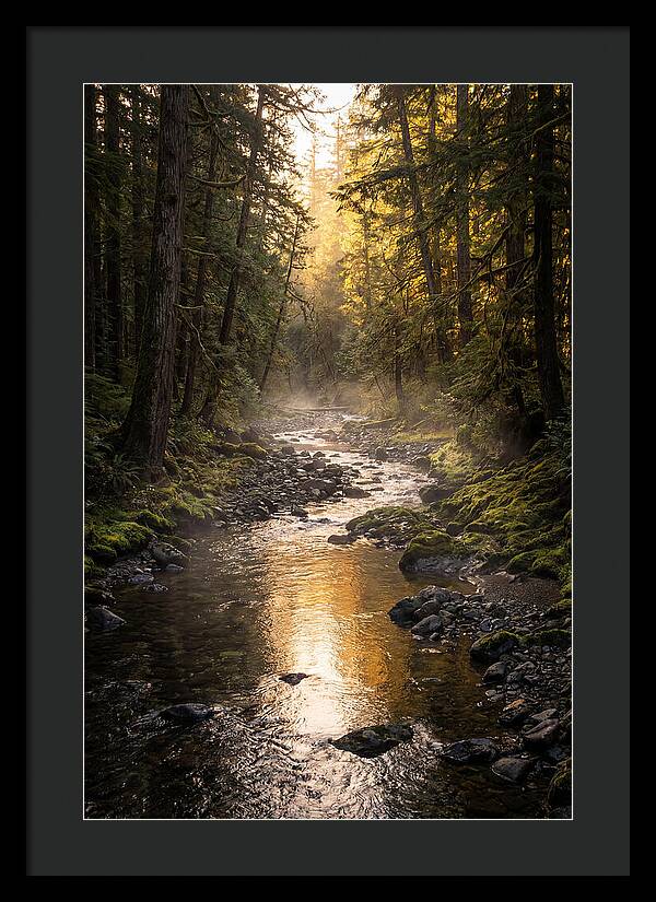 Worlds End Forest Creek